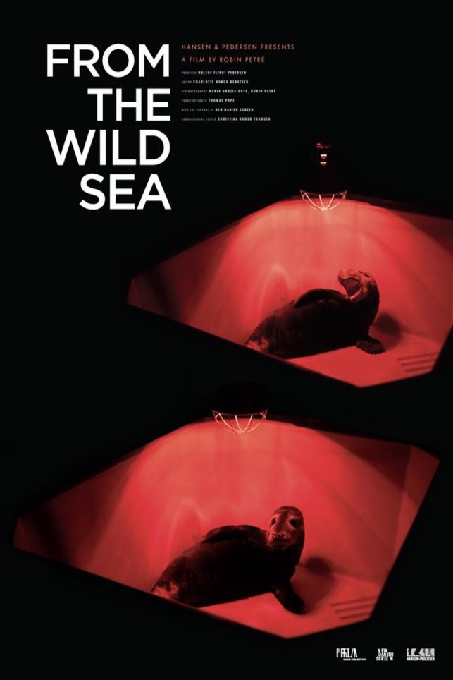 L'affiche du film From the Wild Sea [2021]