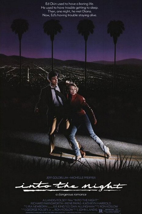 Poster of the movie Into the Night