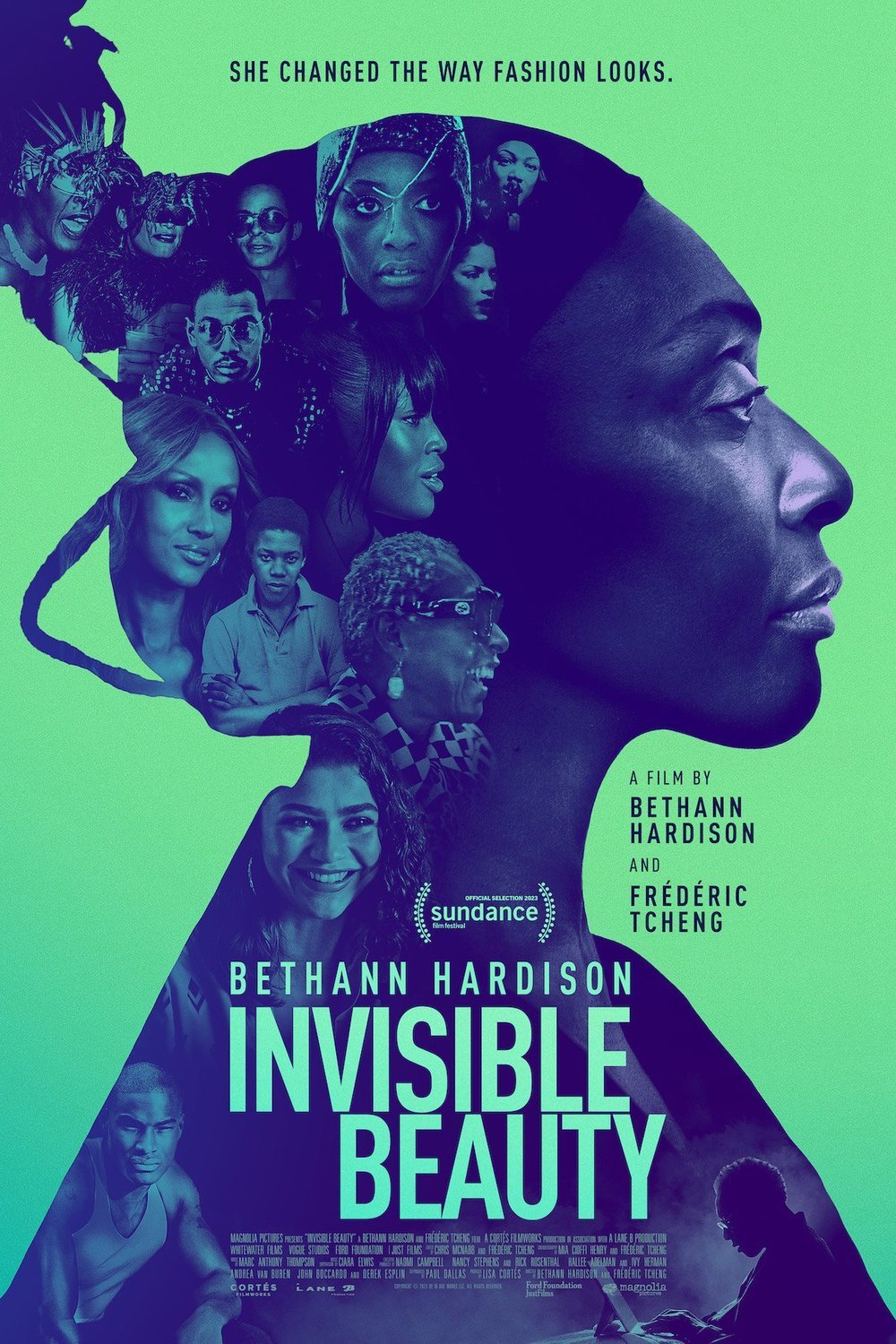 L'affiche du film Invisible Beauty