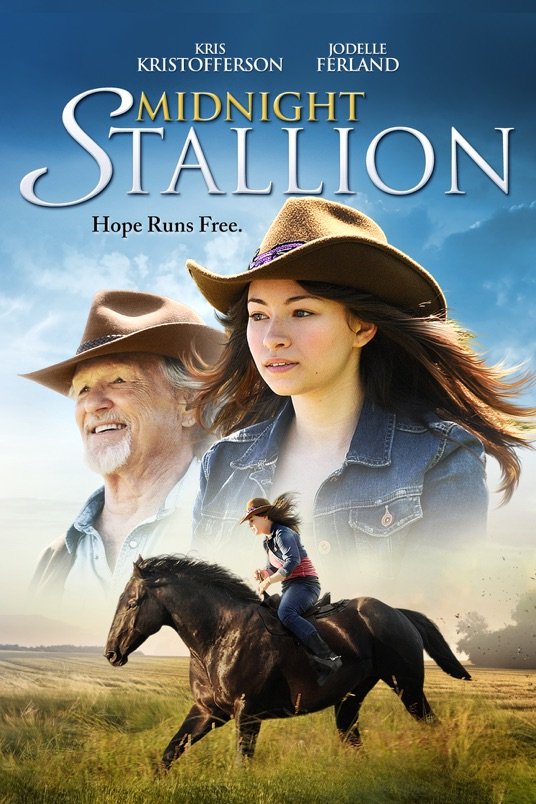 L'affiche du film Midnight Stallion