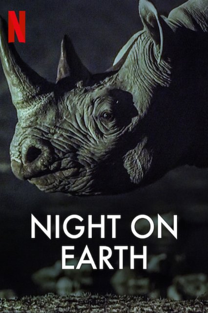 L'affiche du film Night on Earth