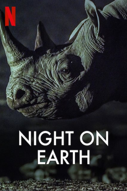 Poster of the movie Night on Earth [2020]