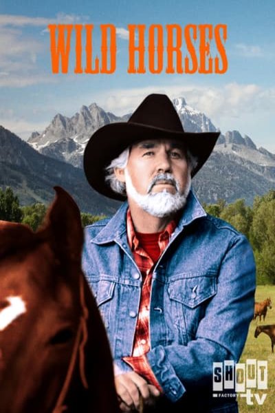 L'affiche du film Wild Horses