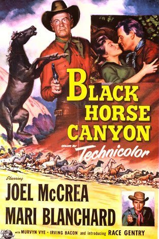 L'affiche du film Black Horse Canyon