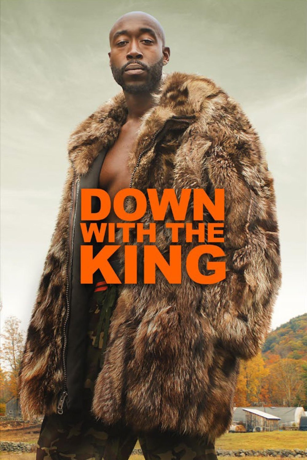 Poster of the movie Down with the King