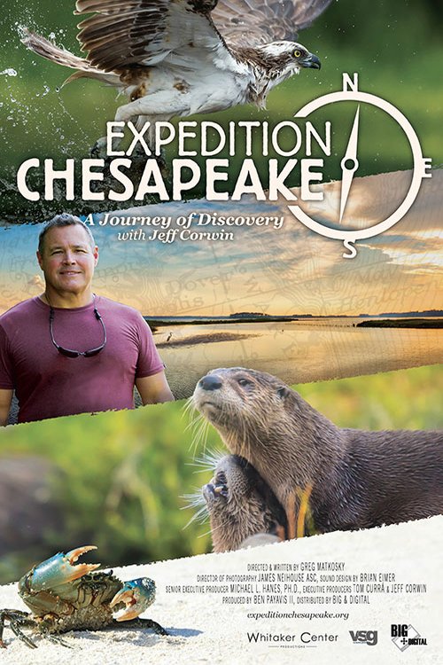 Poster of the movie Expedition Chesapeake: A Journey of Discovery [2019]