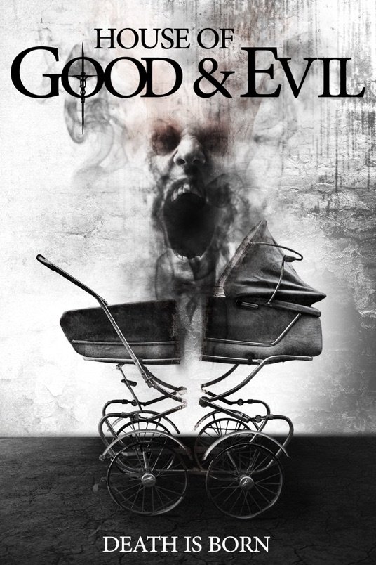 L'affiche du film Descente Aux Enfers [2013]