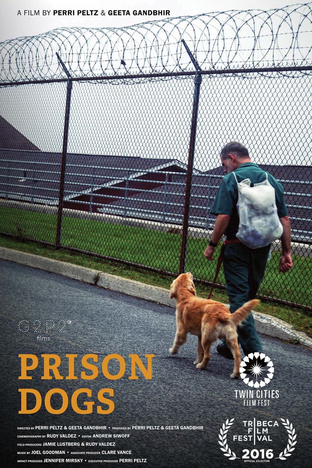 L'affiche du film Prison Dogs