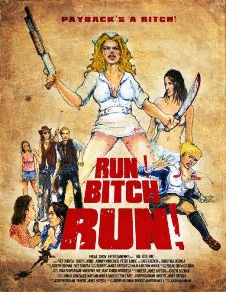 Poster of the movie Run! Bitch Run!