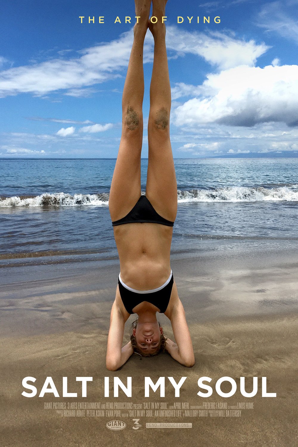 L'affiche du film Salt in My Soul [2022]