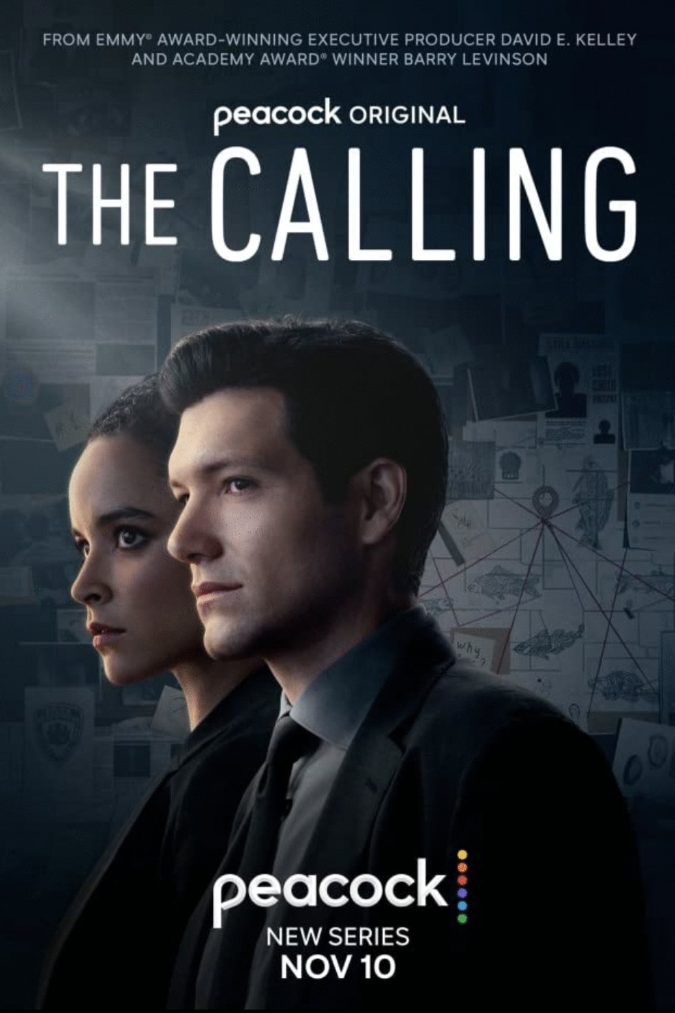 L'affiche du film The Calling
