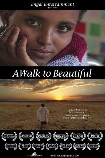 Poster of the movie A Walk to Beautiful