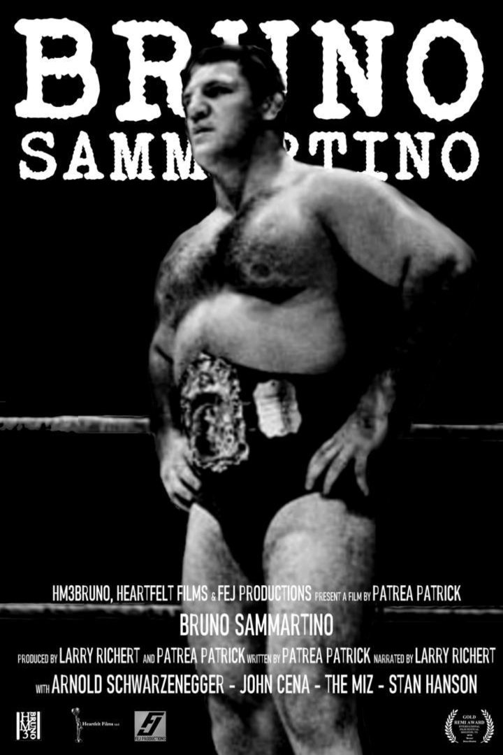 L'affiche du film Bruno Sammartino, La Mia Mama