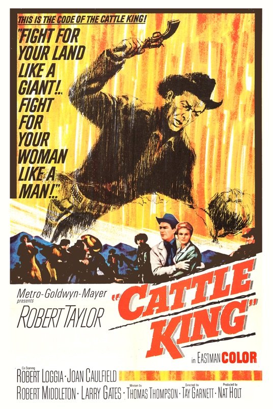 L'affiche du film Cattle King