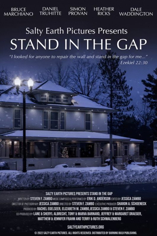 Stand in the Gap [2022] by Steven F. Zambo
