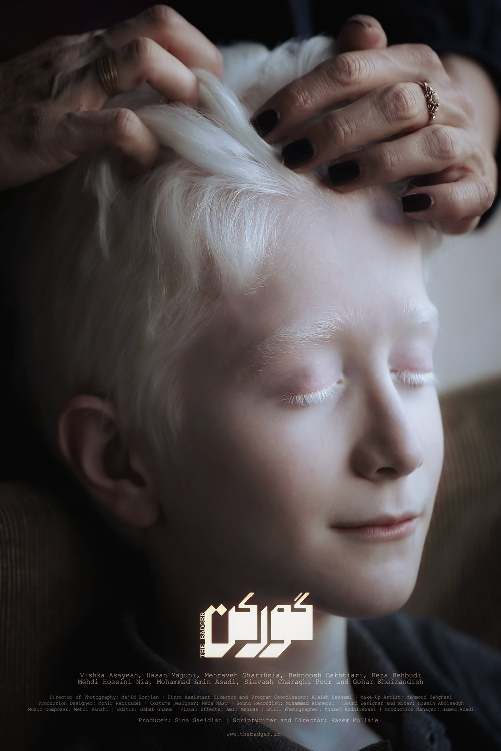 L'affiche du film The Badger [2020]