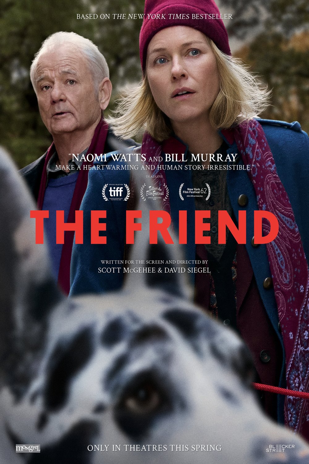 L'affiche du film The Friend [2024]