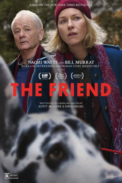 L'affiche du film The Friend