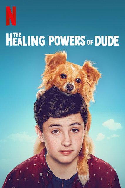 L'affiche du film The Healing Powers of Dude