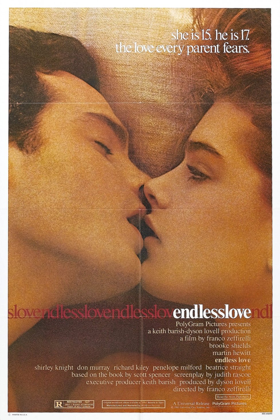 L'affiche du film Endless Love