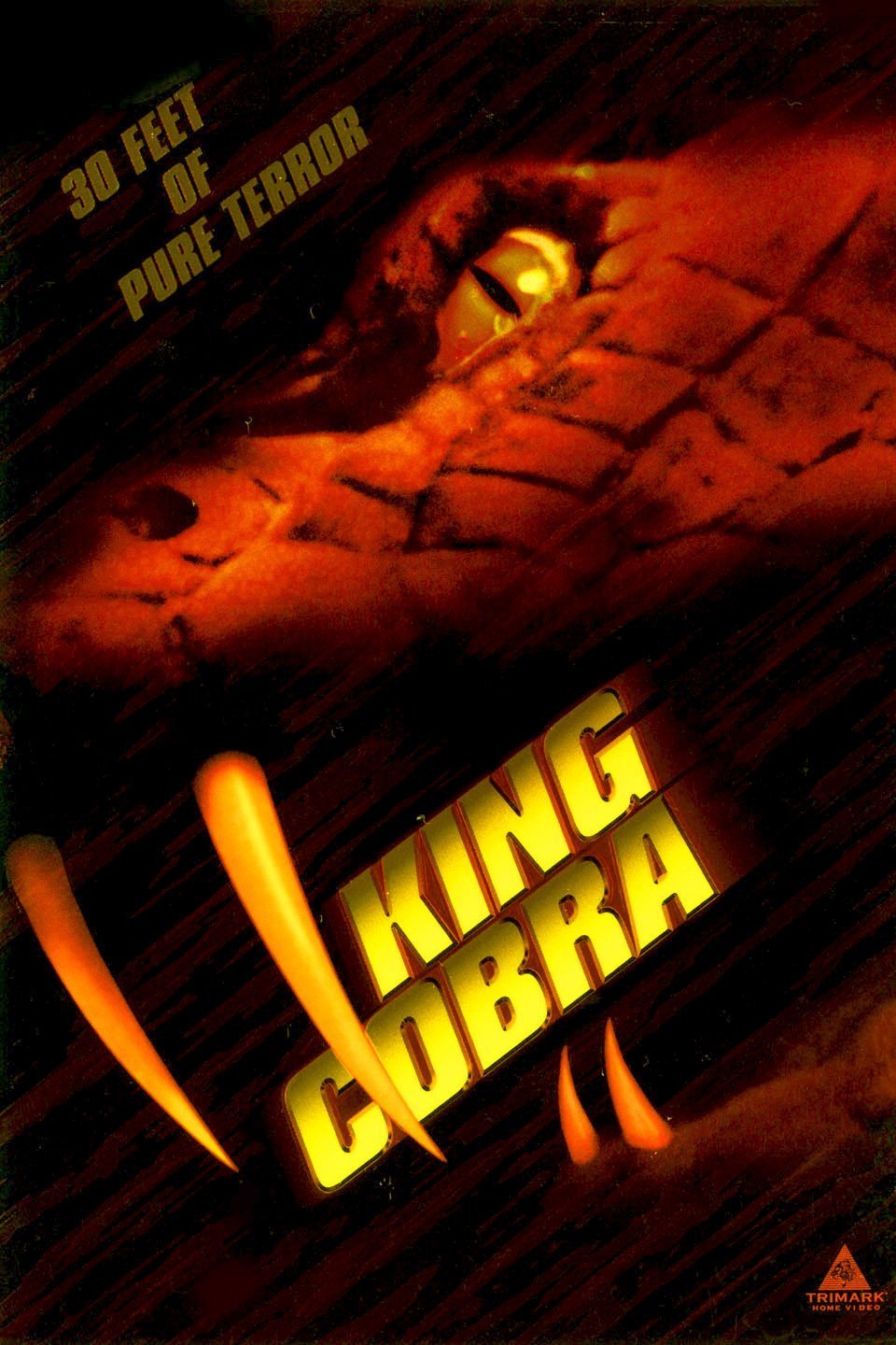 L'affiche du film King Cobra