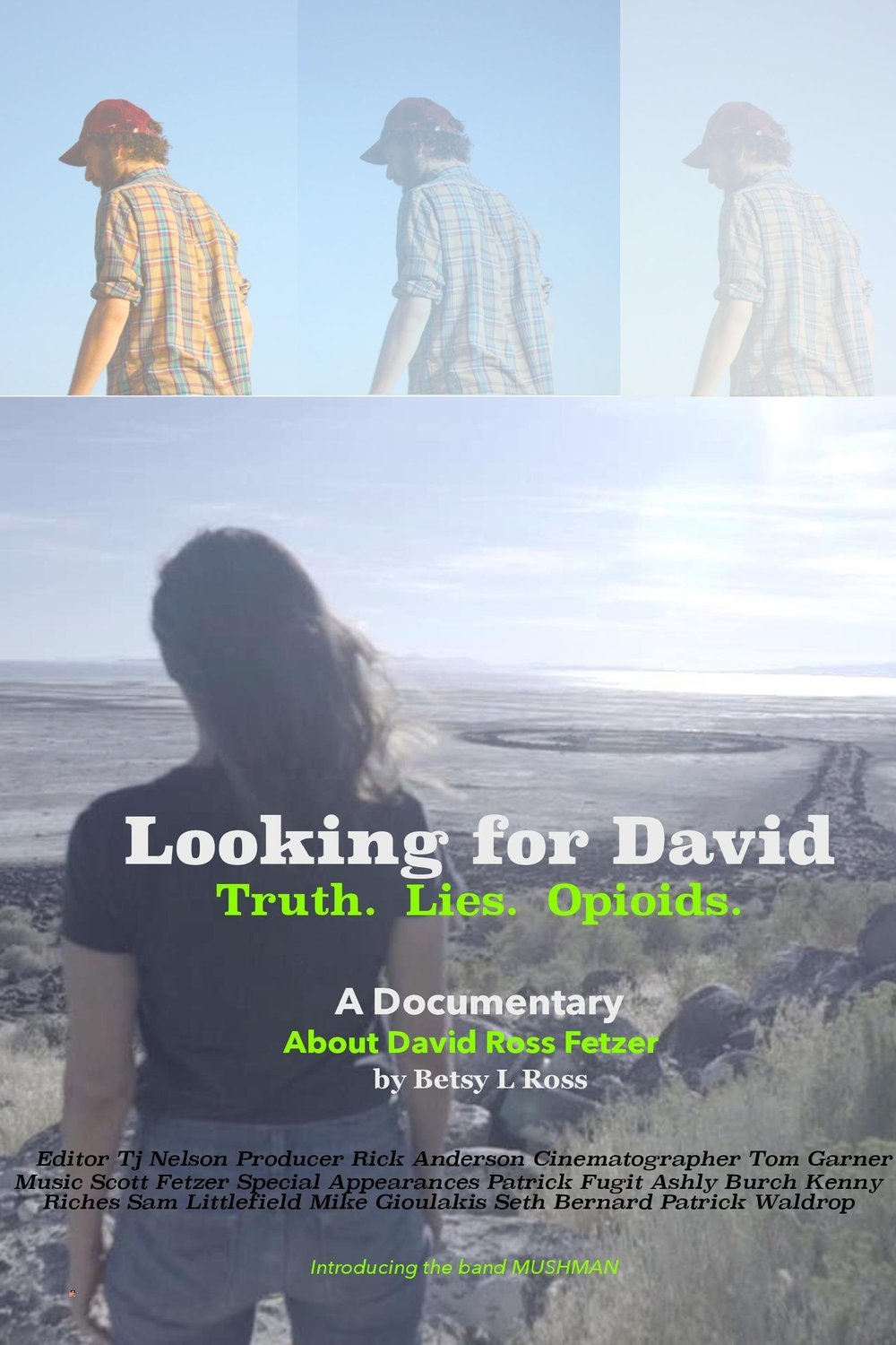 Poster of the movie Looking for David