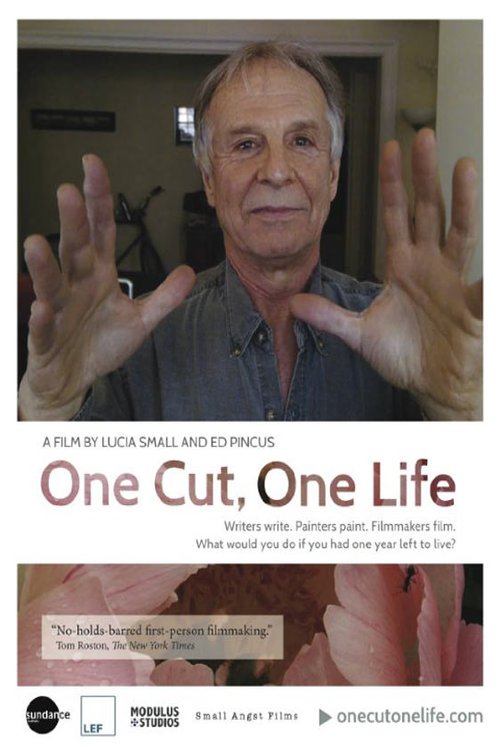L'affiche du film One Cut, One Life