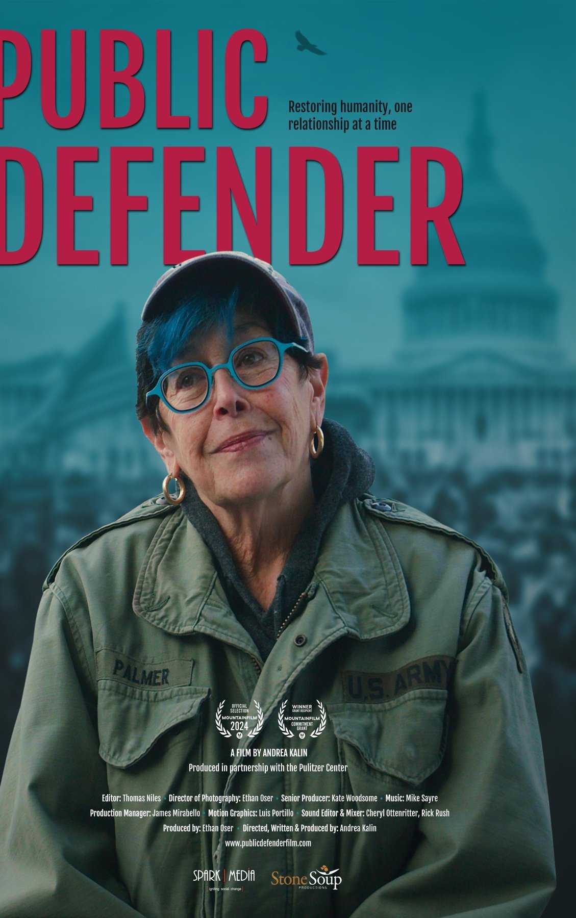 L'affiche du film Public Defender