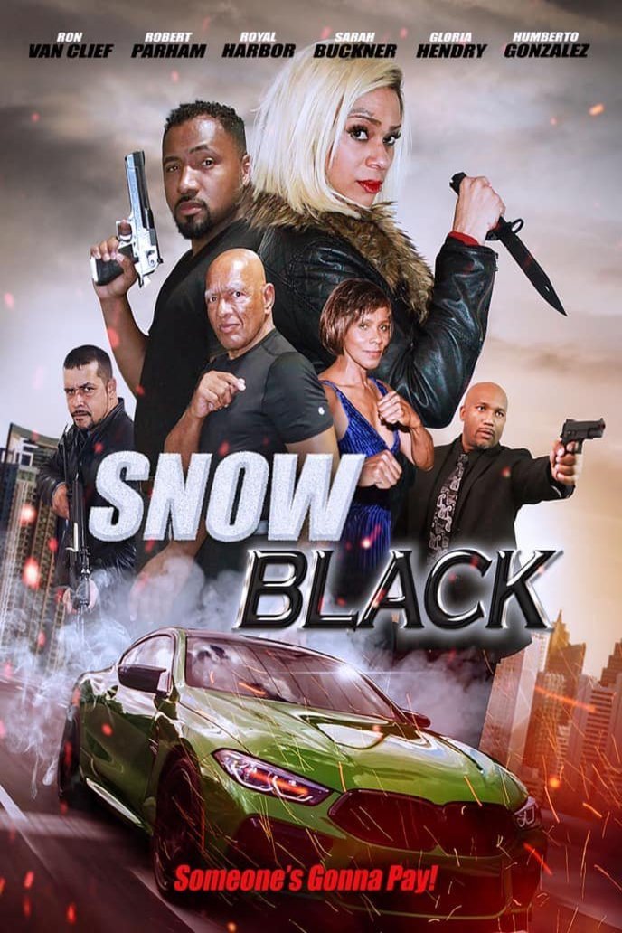 L'affiche du film Snow Black
