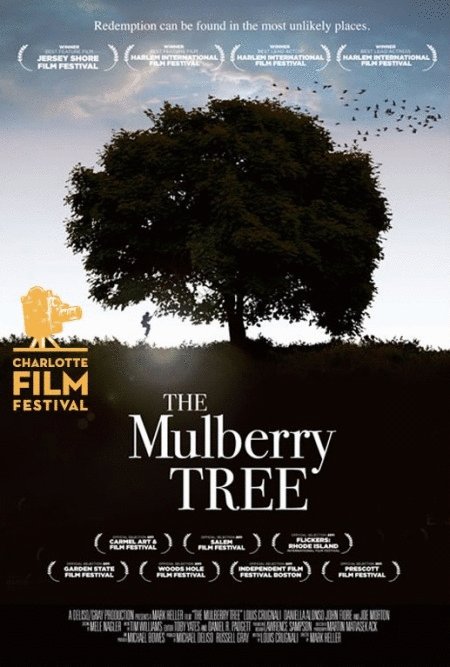 L'affiche du film The Mulberry Tree