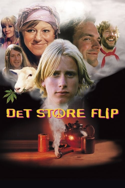 L'affiche du film Det store flip