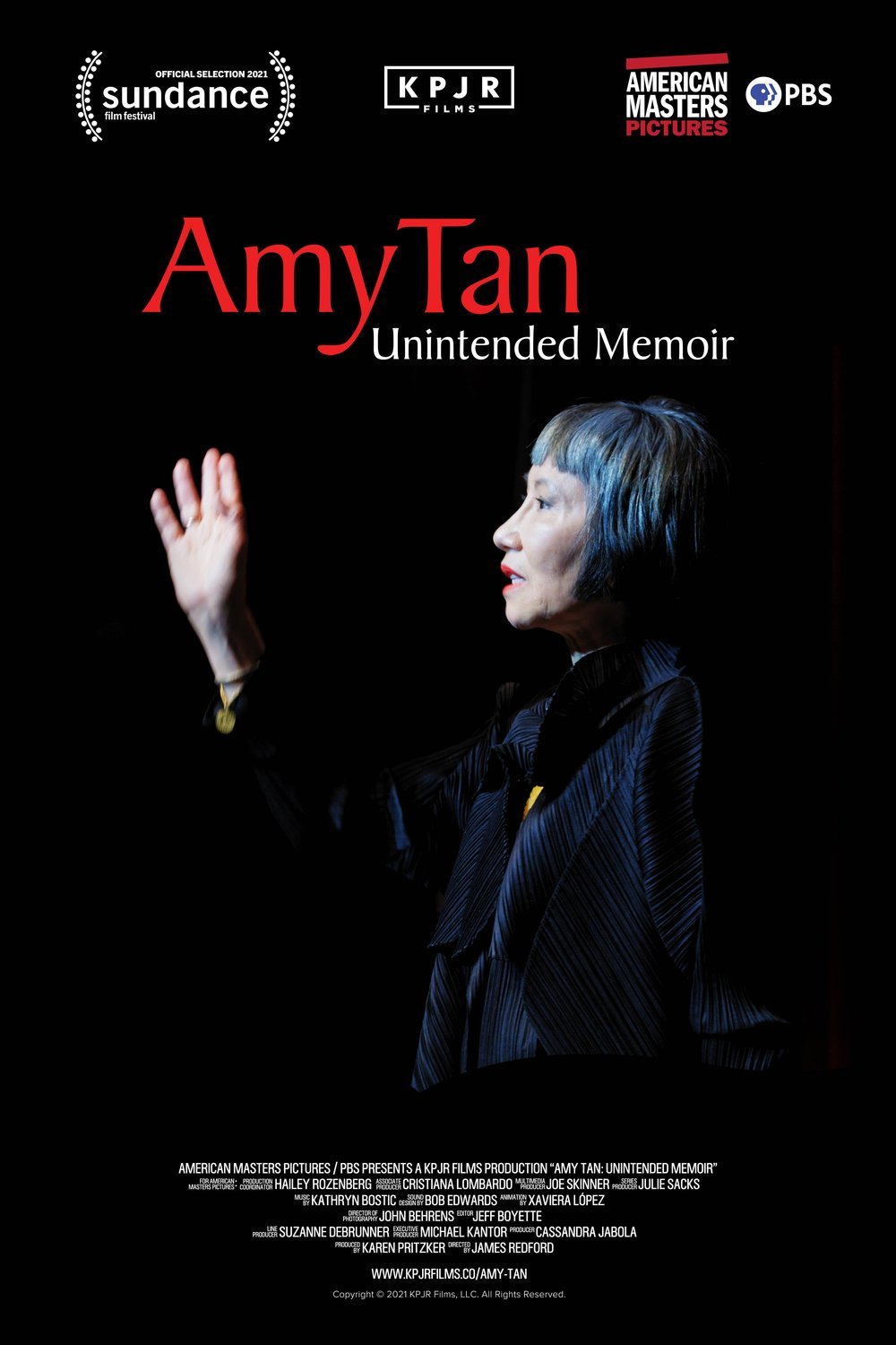 L'affiche du film Amy Tan: Unintended Memoir