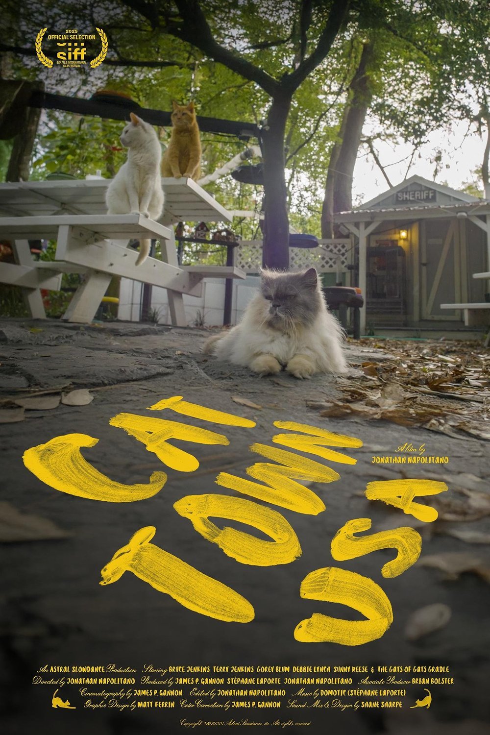 Poster of the movie Cat Town, USA