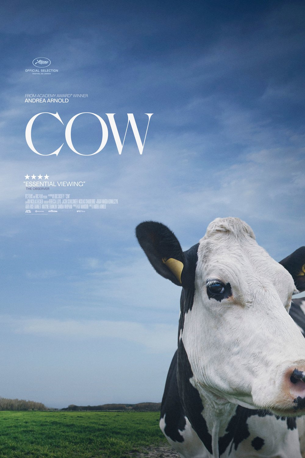 L'affiche du film Cow