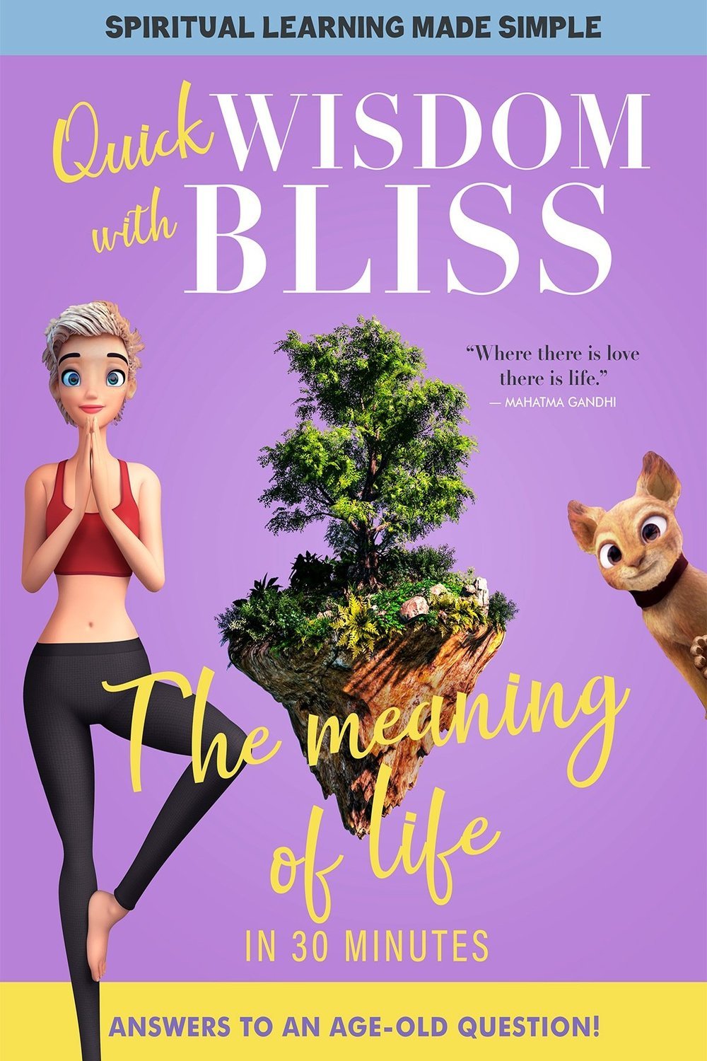 L'affiche du film Quick Wisdom with Bliss: The Meaning of Life