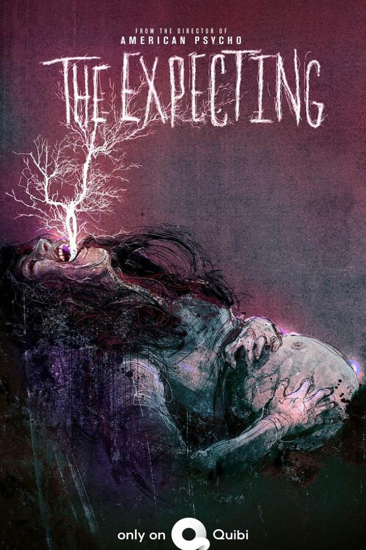 L'affiche du film The Expecting