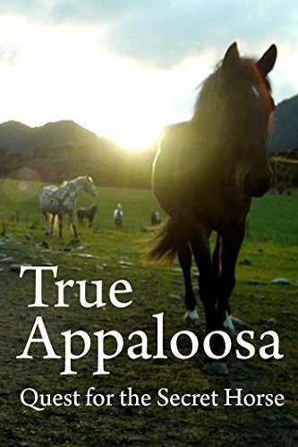 Poster of the movie True Appaloosa