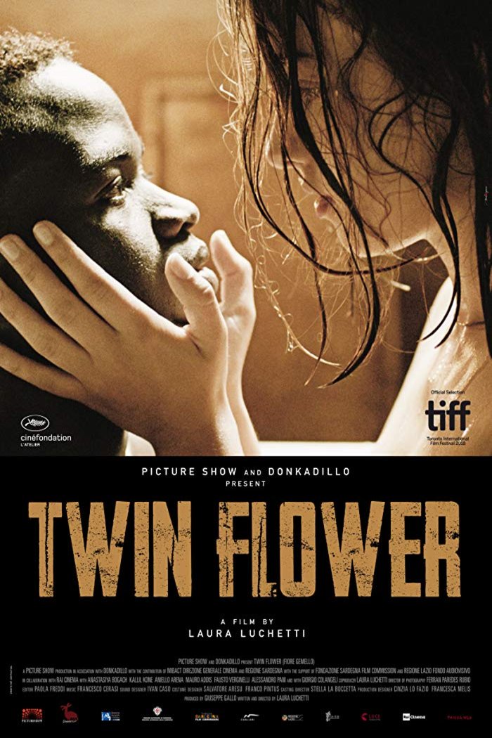 L'affiche du film Twin Flower [2018]