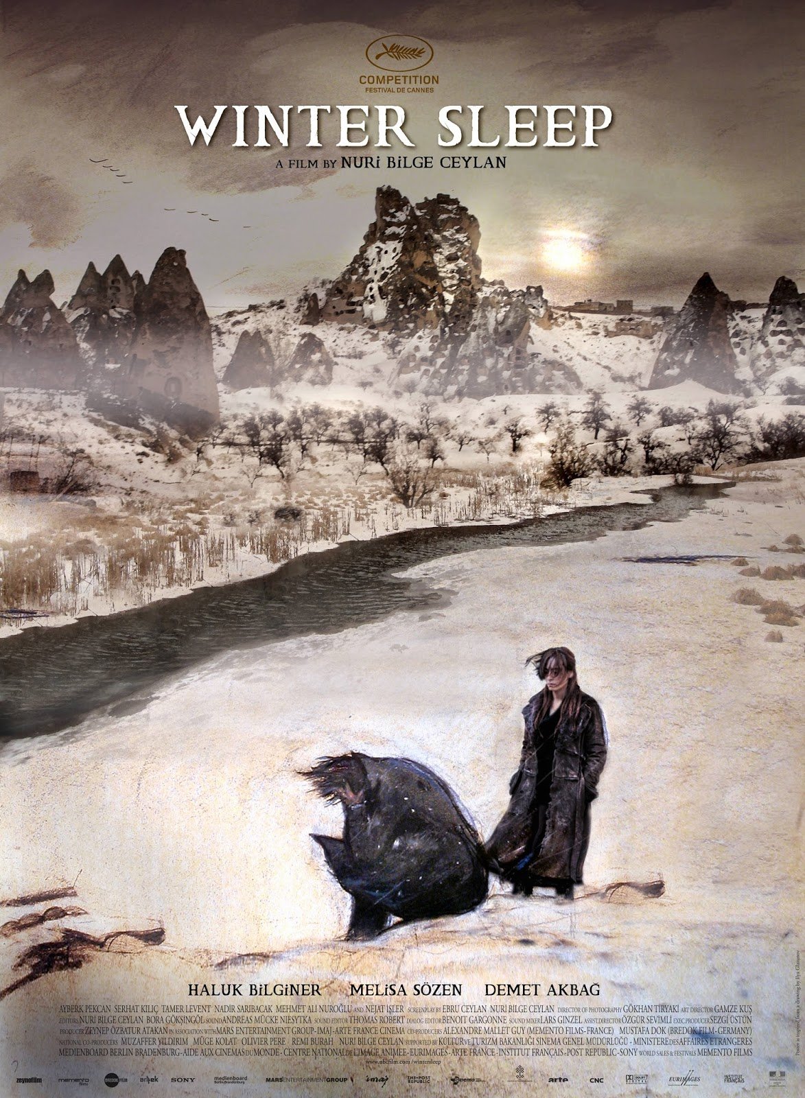 Poster of the movie Sommeil d'hiver