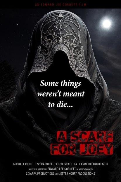 Poster of the movie A Scarf for Joey [2025]