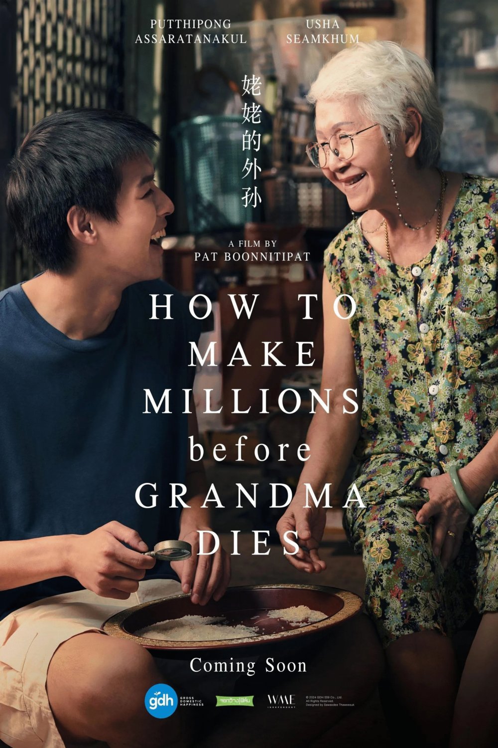 L'affiche du film How to Make Millions Before Grandma Dies [2024]