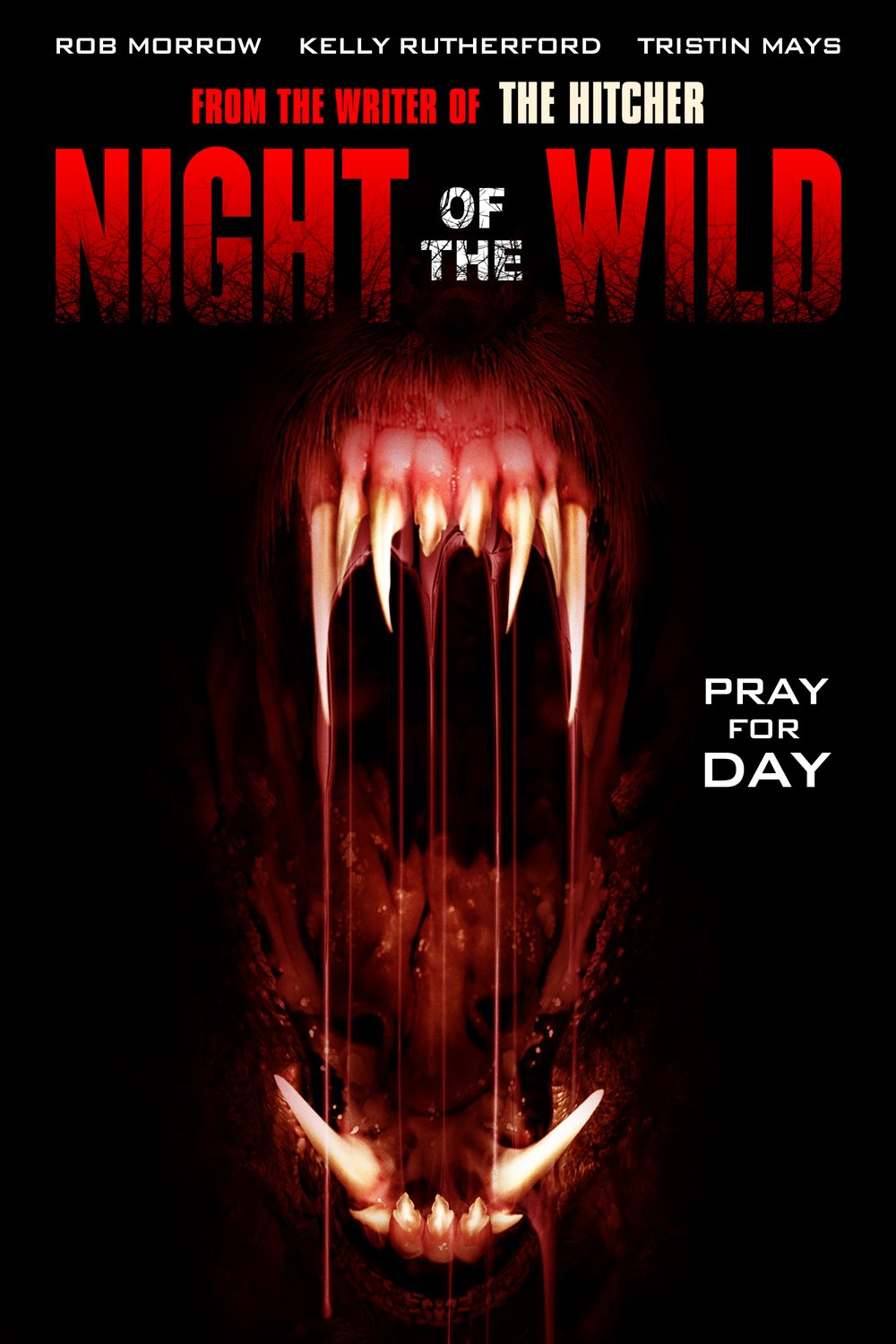 L'affiche du film Night of the Wild
