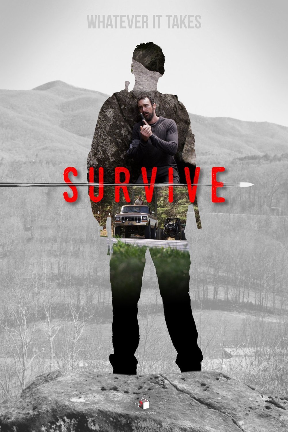 Poster of the movie Survive