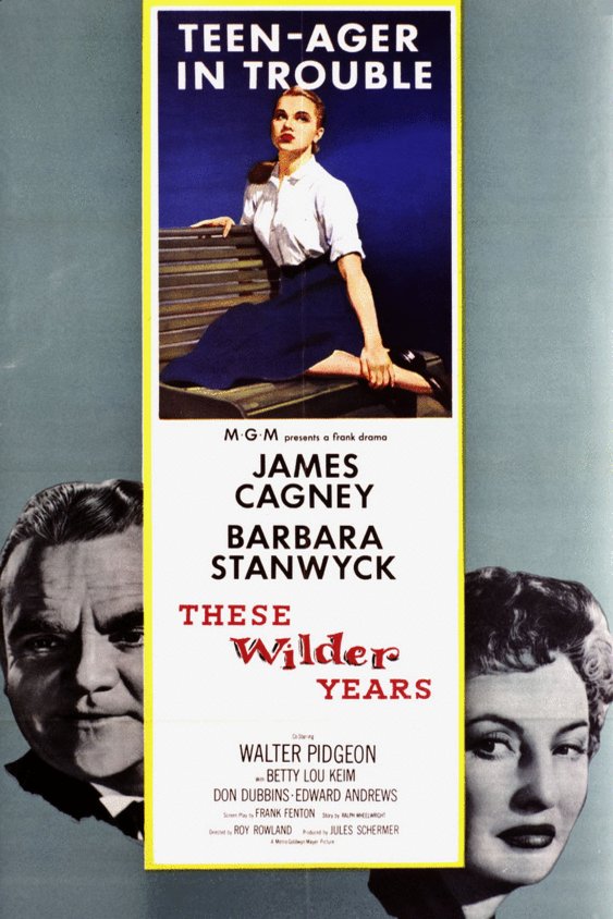 L'affiche du film These Wilder Years