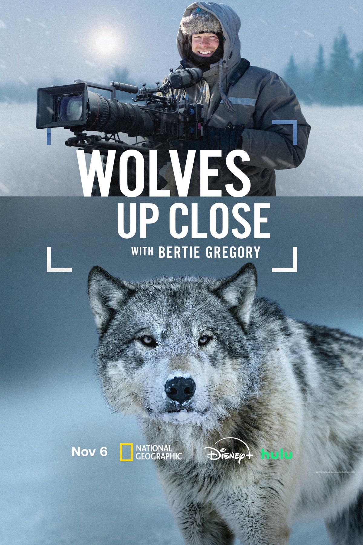 Poster of the movie Wolves Up Close with Bertie Gregory [2026]