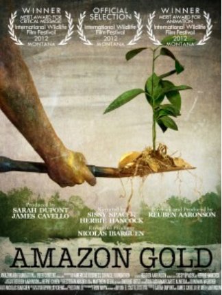L'affiche du film Amazon Gold