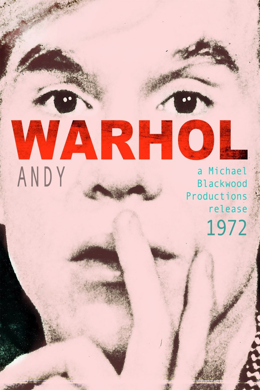 L'affiche du film Andy Warhol