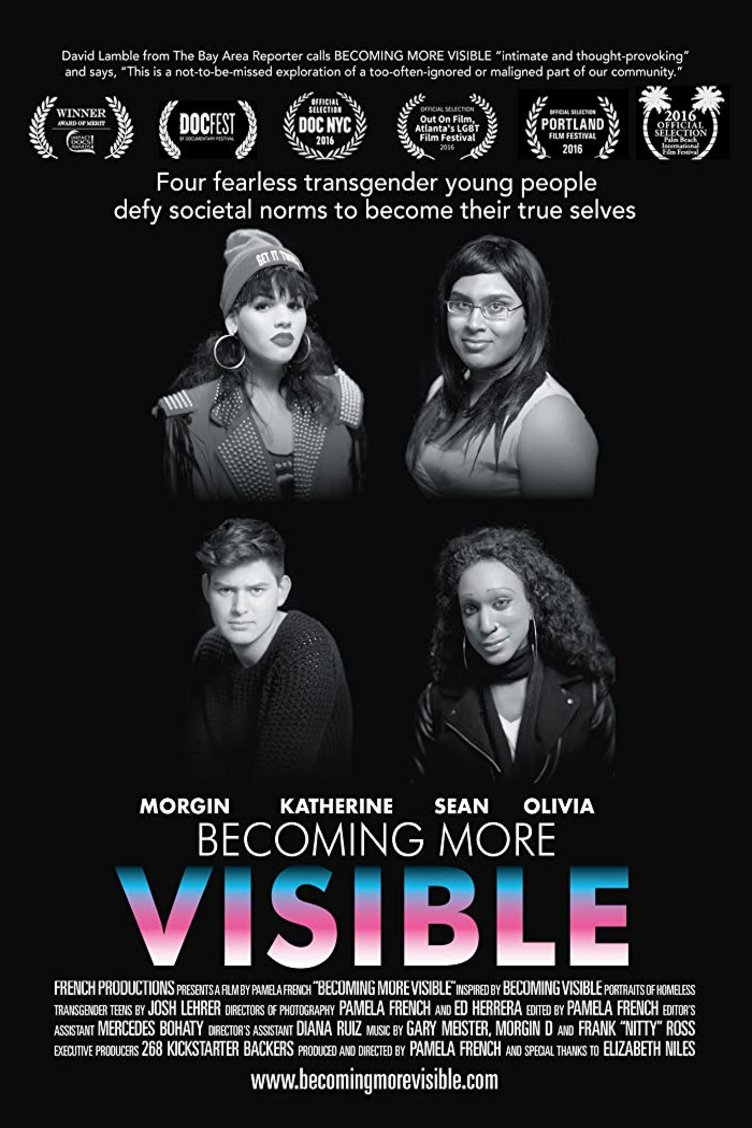 Poster of the movie Becoming More Visible