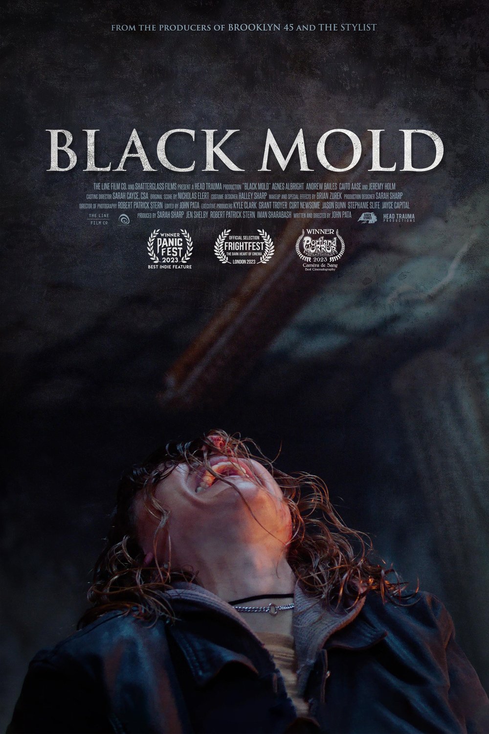 L'affiche du film Black Mold