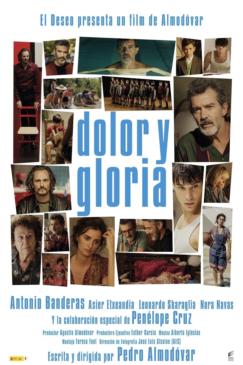 Poster of the movie Dolor y gloria